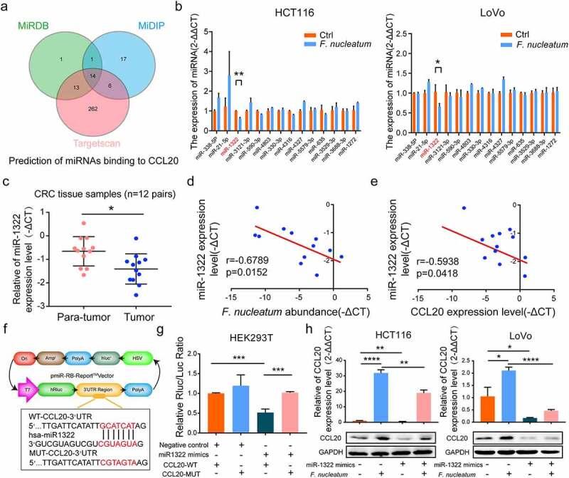 https://cdn.ncbi.nlm.nih.gov/pmc/blobs/6777/8510564/7e51622a58c1/KGMI_A_1980347_F0005_OC.jpg