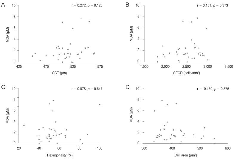 https://cdn.ncbi.nlm.nih.gov/pmc/blobs/677a/4878977/857b53605471/kjo-30-172-g003.jpg