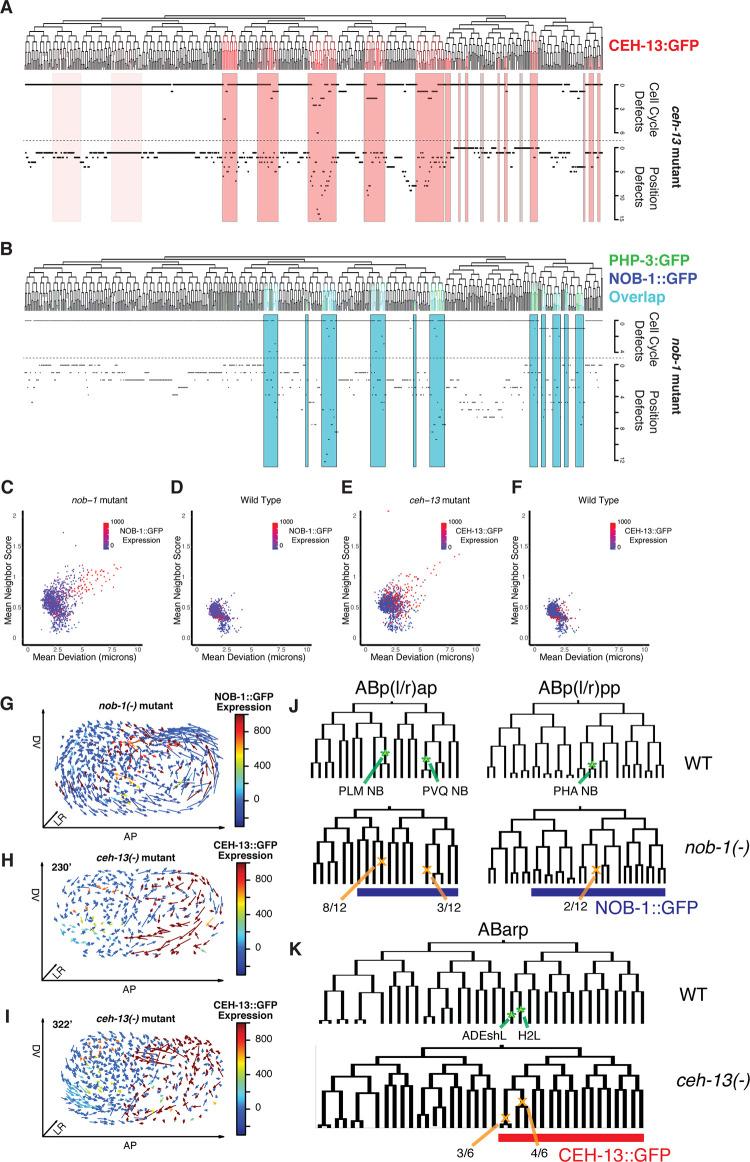 https://cdn.ncbi.nlm.nih.gov/pmc/blobs/677a/9098060/ffb340cf1ff6/pgen.1010187.g006.jpg
