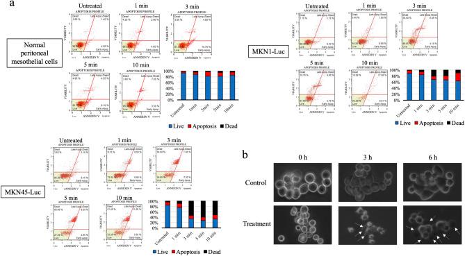 https://cdn.ncbi.nlm.nih.gov/pmc/blobs/677b/12141492/48d67339bb79/41598_2025_4977_Fig4_HTML.jpg