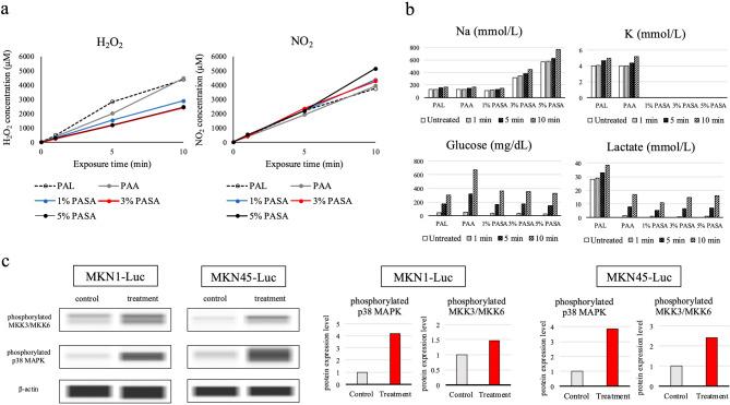 https://cdn.ncbi.nlm.nih.gov/pmc/blobs/677b/12141492/4b5909841416/41598_2025_4977_Fig3_HTML.jpg