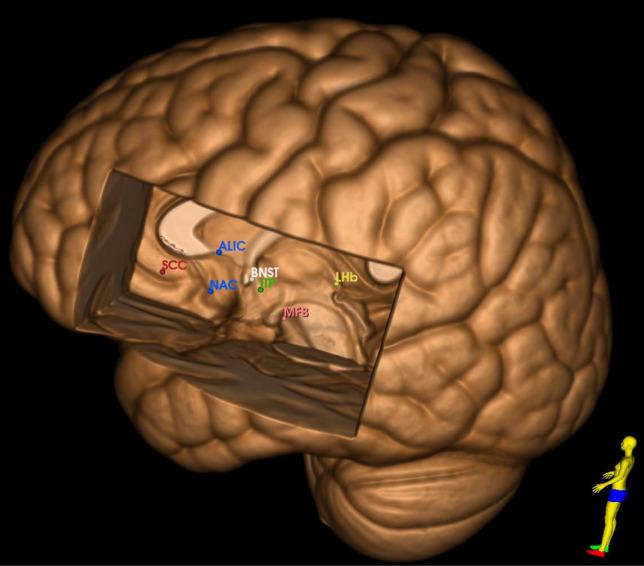 https://cdn.ncbi.nlm.nih.gov/pmc/blobs/677e/10940557/fe588b1f318d/44192_2024_62_Fig4_HTML.jpg