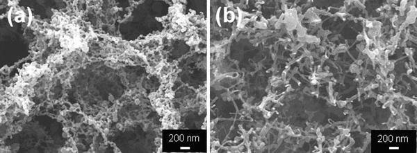 https://cdn.ncbi.nlm.nih.gov/pmc/blobs/677e/3243974/a93b460ecb0f/1556-276X-4-820-2.jpg