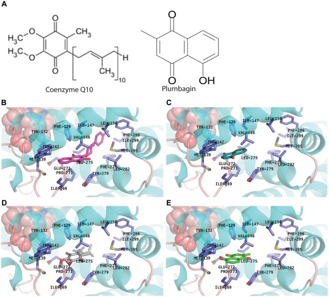 https://cdn.ncbi.nlm.nih.gov/pmc/blobs/677e/5773707/67e9d010293c/41598_2018_19261_Fig5_HTML.jpg