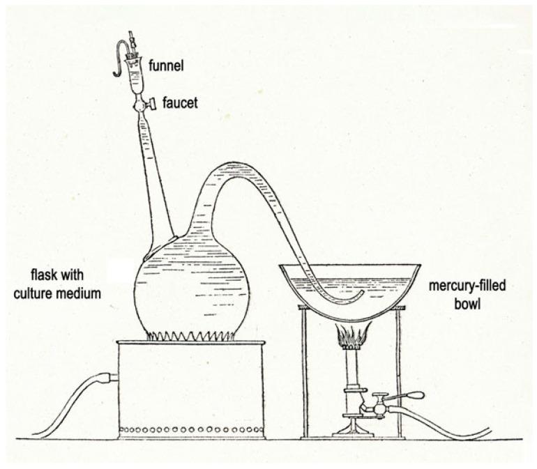 https://cdn.ncbi.nlm.nih.gov/pmc/blobs/677e/9861305/64995f93eea6/toxins-15-00043-g001.jpg