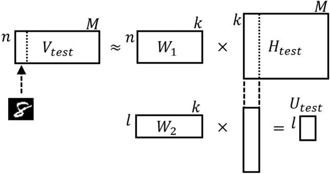 https://cdn.ncbi.nlm.nih.gov/pmc/blobs/677f/10545830/ed55f9905007/41598_2023_43729_Fig4_HTML.jpg