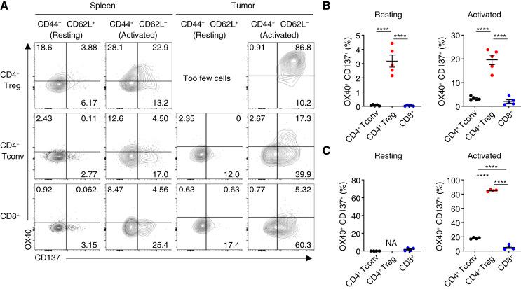 https://cdn.ncbi.nlm.nih.gov/pmc/blobs/6780/11317917/73ce0e92b319/crc-23-0500_f1.jpg