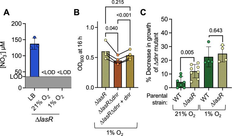 https://cdn.ncbi.nlm.nih.gov/pmc/blobs/6781/12403760/b5666fc95b0a/spectrum.00682-25.f002.jpg