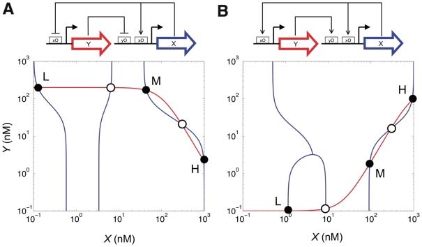 https://cdn.ncbi.nlm.nih.gov/pmc/blobs/6781/3203596/ad668d4b4599/gkr616f3.jpg