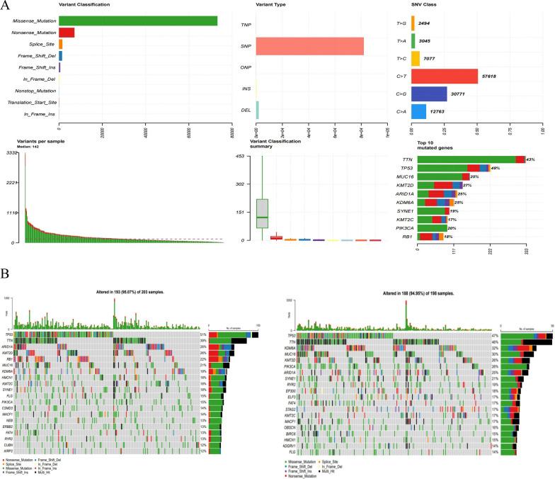 https://cdn.ncbi.nlm.nih.gov/pmc/blobs/6782/10044739/01fd33f8a6b0/12967_2023_4056_Fig11_HTML.jpg