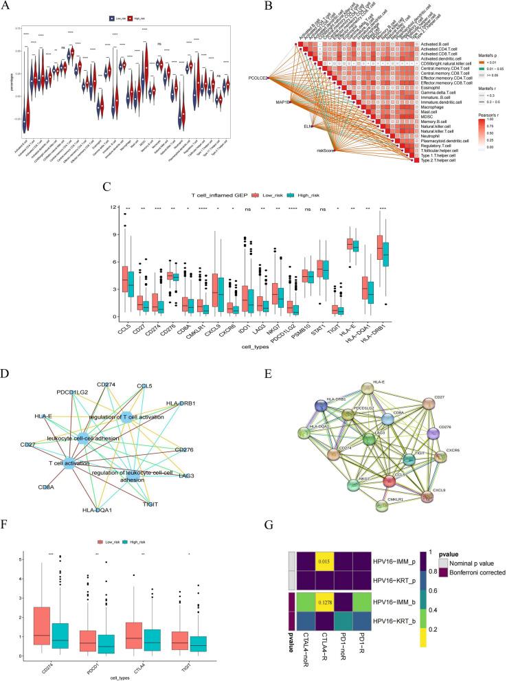 https://cdn.ncbi.nlm.nih.gov/pmc/blobs/6782/10044739/074f2d2fadf6/12967_2023_4056_Fig10_HTML.jpg