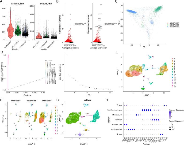 https://cdn.ncbi.nlm.nih.gov/pmc/blobs/6782/10044739/2f457c676d21/12967_2023_4056_Fig1_HTML.jpg