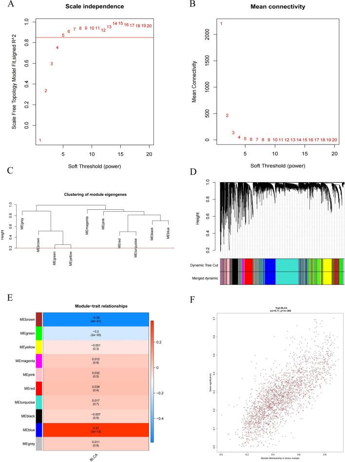 https://cdn.ncbi.nlm.nih.gov/pmc/blobs/6782/10044739/8f1f3cc2141a/12967_2023_4056_Fig5_HTML.jpg
