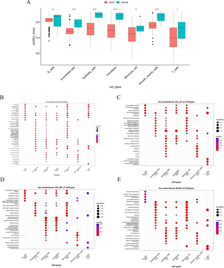 https://cdn.ncbi.nlm.nih.gov/pmc/blobs/6782/10044739/e7e34b3fc638/12967_2023_4056_Fig2_HTML.jpg