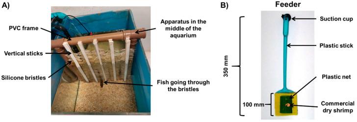 https://cdn.ncbi.nlm.nih.gov/pmc/blobs/6783/8300383/53bd5e9731be/animals-11-02042-g001.jpg