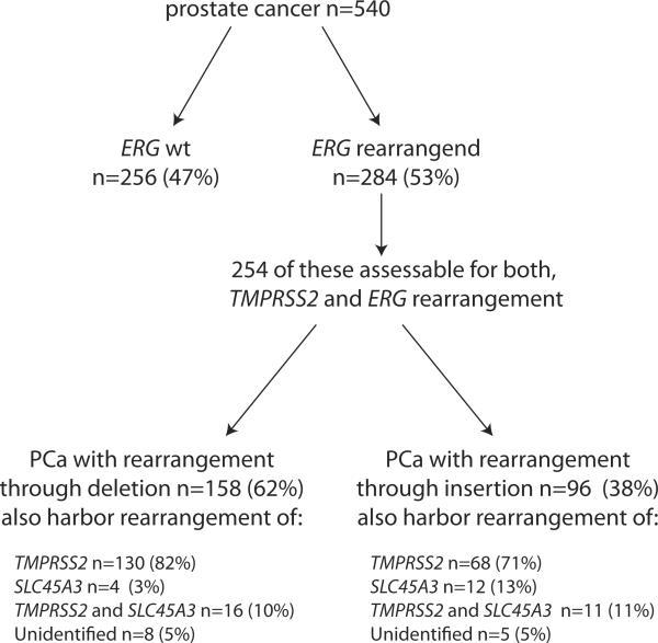 https://cdn.ncbi.nlm.nih.gov/pmc/blobs/6785/2848699/a97b70ff57bf/nihms-165730-f0004.jpg