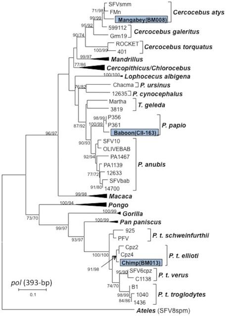 https://cdn.ncbi.nlm.nih.gov/pmc/blobs/6785/3254615/66a6bcc1c244/pone.0029505.g002.jpg