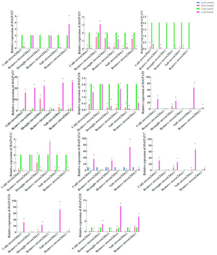 https://cdn.ncbi.nlm.nih.gov/pmc/blobs/6786/11172788/8047e27ac6b1/ijms-25-06101-g006.jpg