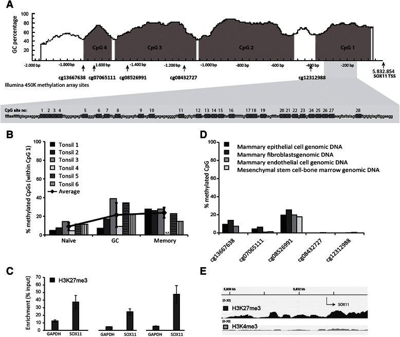 https://cdn.ncbi.nlm.nih.gov/pmc/blobs/6787/4403777/3e6230dd8530/12885_2015_1208_Fig1_HTML.jpg