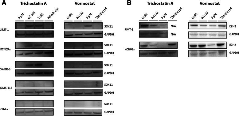 https://cdn.ncbi.nlm.nih.gov/pmc/blobs/6787/4403777/e535dc36d687/12885_2015_1208_Fig6_HTML.jpg