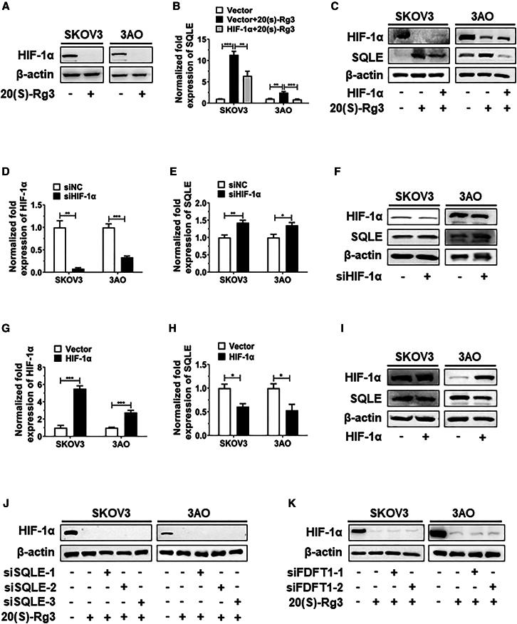 https://cdn.ncbi.nlm.nih.gov/pmc/blobs/6788/12337702/9c8bd51179e7/gr7.jpg