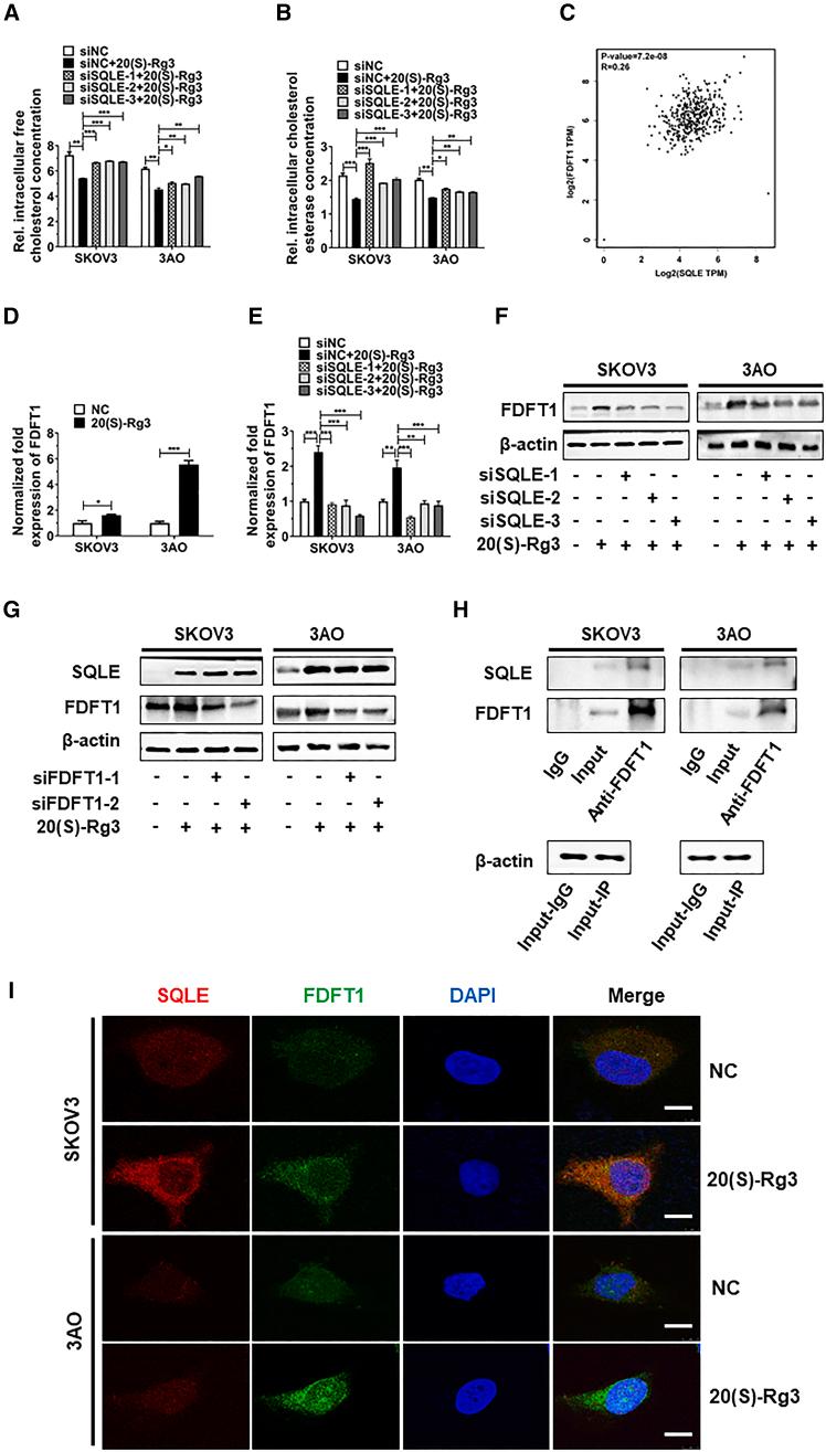 https://cdn.ncbi.nlm.nih.gov/pmc/blobs/6788/12337702/d1d84a5a914d/gr6.jpg