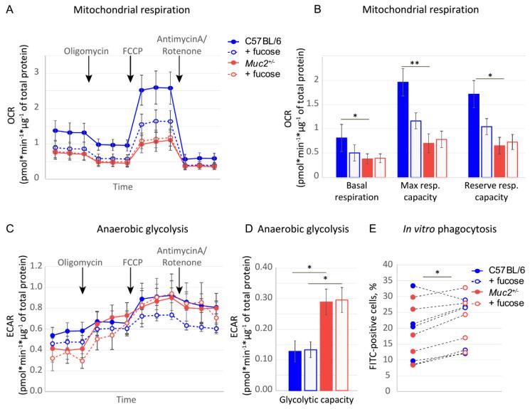 https://cdn.ncbi.nlm.nih.gov/pmc/blobs/6789/8001062/155add3df6ec/nutrients-13-00855-g003.jpg