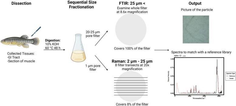 https://cdn.ncbi.nlm.nih.gov/pmc/blobs/678a/11527914/d261b8325069/43591_2024_101_Fig2_HTML.jpg