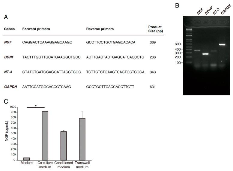 https://cdn.ncbi.nlm.nih.gov/pmc/blobs/678b/12101362/7f05258b8e46/neurosci-06-00039-g003.jpg
