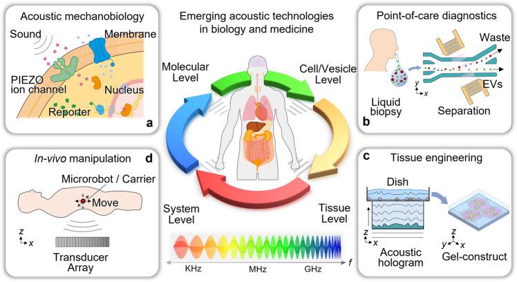 https://cdn.ncbi.nlm.nih.gov/pmc/blobs/678c/9203513/b6f293439909/41467_2022_31014_Fig1_HTML.jpg