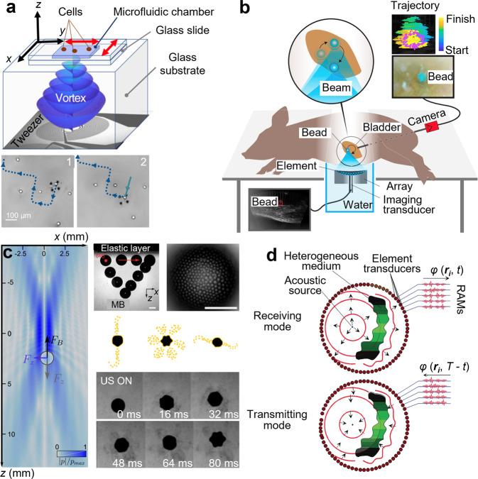 https://cdn.ncbi.nlm.nih.gov/pmc/blobs/678c/9203513/e74543410d7d/41467_2022_31014_Fig5_HTML.jpg