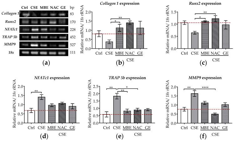 https://cdn.ncbi.nlm.nih.gov/pmc/blobs/678c/9774157/295cd9262eaa/antioxidants-11-02460-g002.jpg