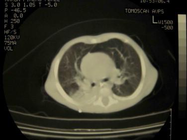 https://cdn.ncbi.nlm.nih.gov/pmc/blobs/6793/7185849/5e273d1d1d2e/gr1.jpg