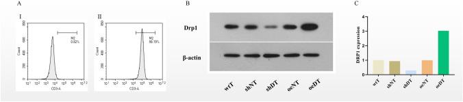 https://cdn.ncbi.nlm.nih.gov/pmc/blobs/6794/10992171/e48dcbc6ef16/262_2023_3582_Fig1_HTML.jpg