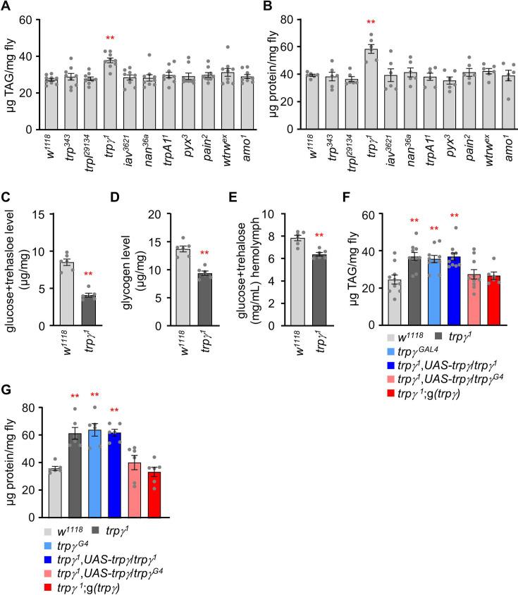 https://cdn.ncbi.nlm.nih.gov/pmc/blobs/6794/12005721/307700a6fd01/elife-99258-fig1.jpg