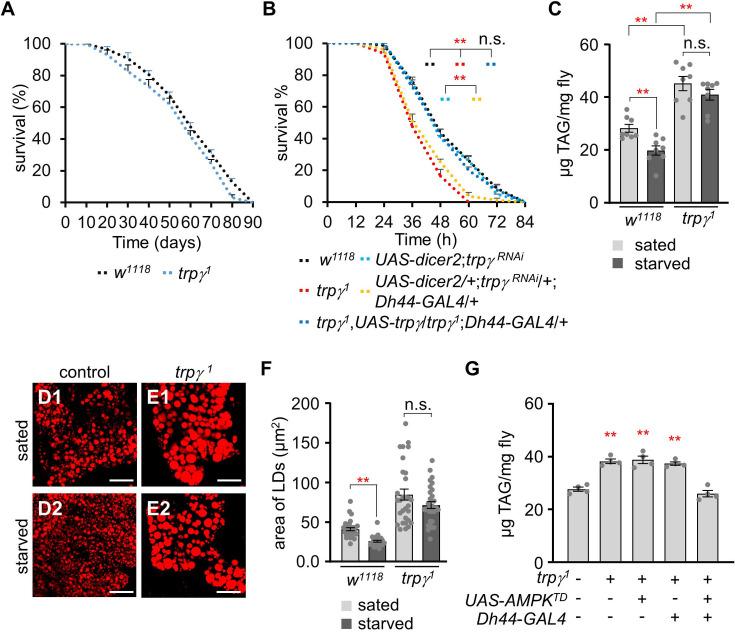 https://cdn.ncbi.nlm.nih.gov/pmc/blobs/6794/12005721/ba99c79c7446/elife-99258-fig3.jpg