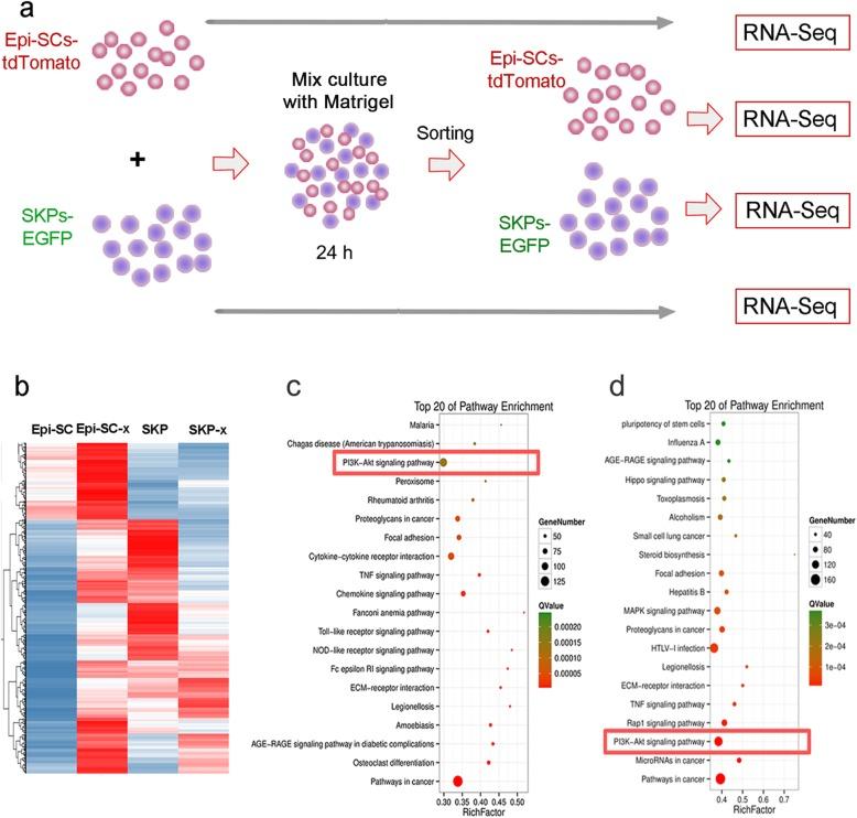 https://cdn.ncbi.nlm.nih.gov/pmc/blobs/6795/7118821/69896be60290/13287_2020_1650_Fig3_HTML.jpg