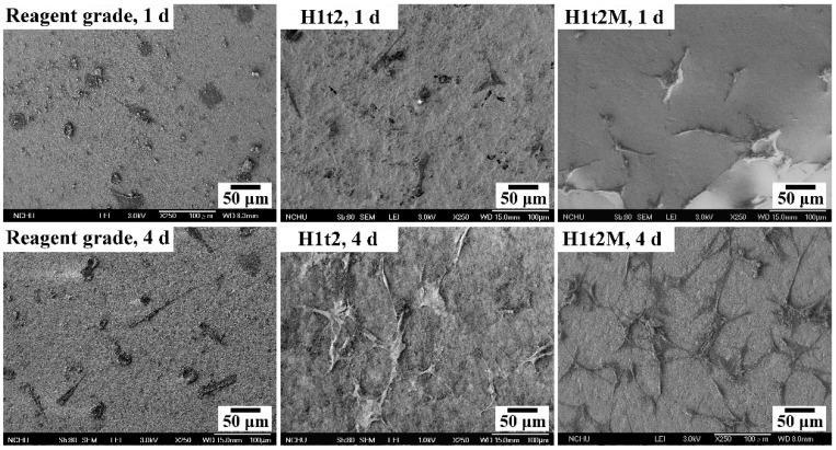 https://cdn.ncbi.nlm.nih.gov/pmc/blobs/6796/10343645/7f4fce419dc8/molecules-28-04926-g006.jpg