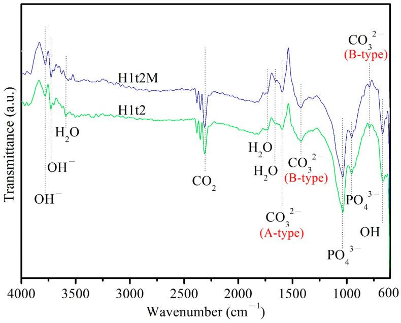 https://cdn.ncbi.nlm.nih.gov/pmc/blobs/6796/10343645/8f134f9e25c1/molecules-28-04926-g003.jpg