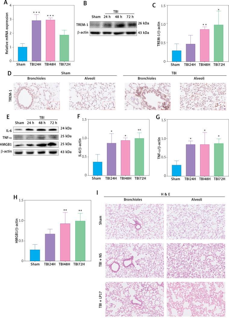https://cdn.ncbi.nlm.nih.gov/pmc/blobs/6798/11264077/4e48748601c5/AMS-20-3-174264-g002.jpg