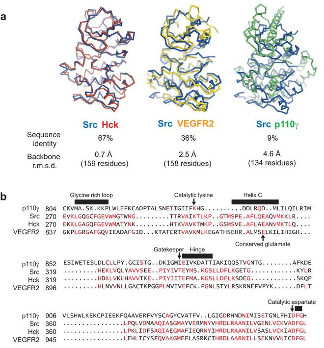 https://cdn.ncbi.nlm.nih.gov/pmc/blobs/6799/2880455/47ce022ba8ae/nihms69615f1.jpg