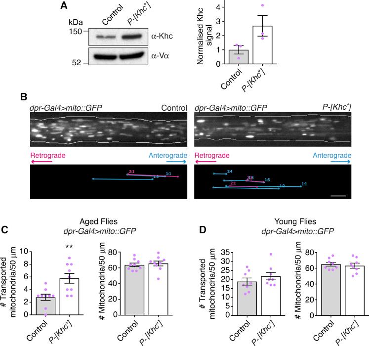 https://cdn.ncbi.nlm.nih.gov/pmc/blobs/6799/5912900/87cb0087d350/gr4.jpg
