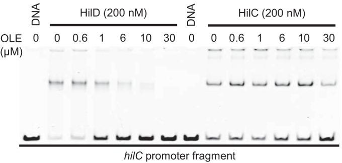 https://cdn.ncbi.nlm.nih.gov/pmc/blobs/679c/4752608/1d217f433d4a/mbo0011627010007.jpg