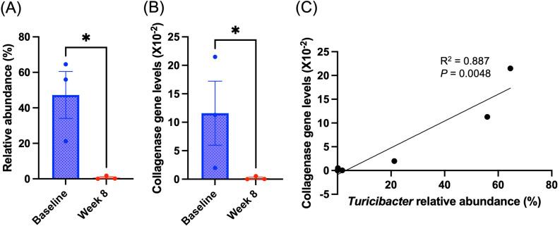 https://cdn.ncbi.nlm.nih.gov/pmc/blobs/679d/11830438/dce747cb57b0/jvms-87-152-g003.jpg
