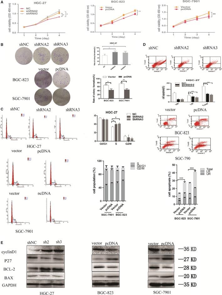 https://cdn.ncbi.nlm.nih.gov/pmc/blobs/679f/6433659/08fc63ca32ce/JCMM-23-2920-g003.jpg