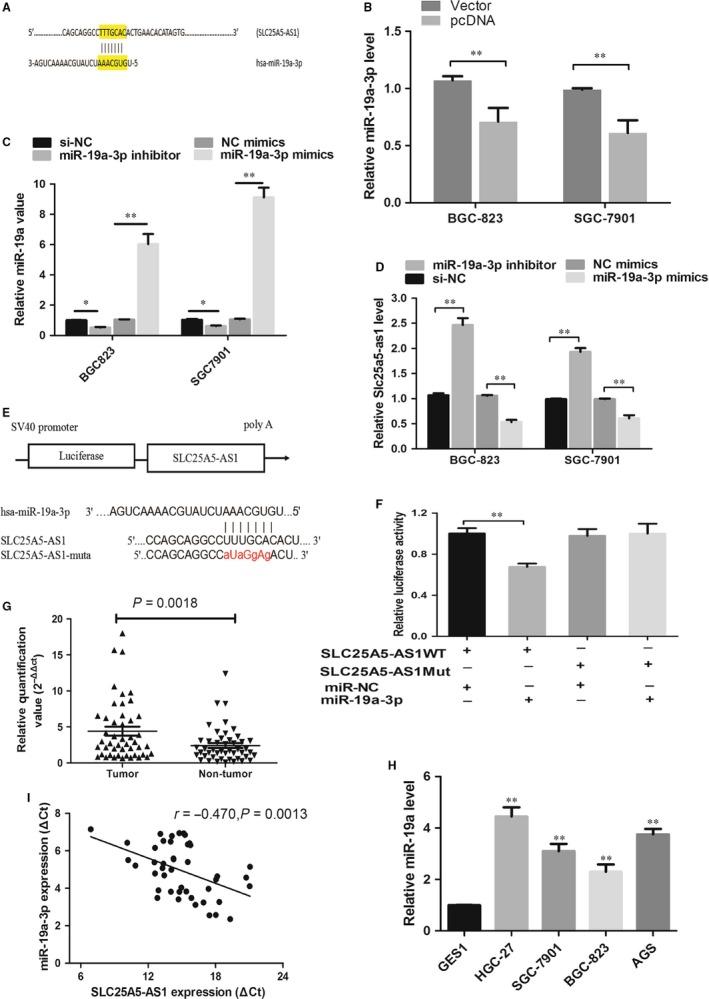 https://cdn.ncbi.nlm.nih.gov/pmc/blobs/679f/6433659/729d3c0ea78a/JCMM-23-2920-g005.jpg
