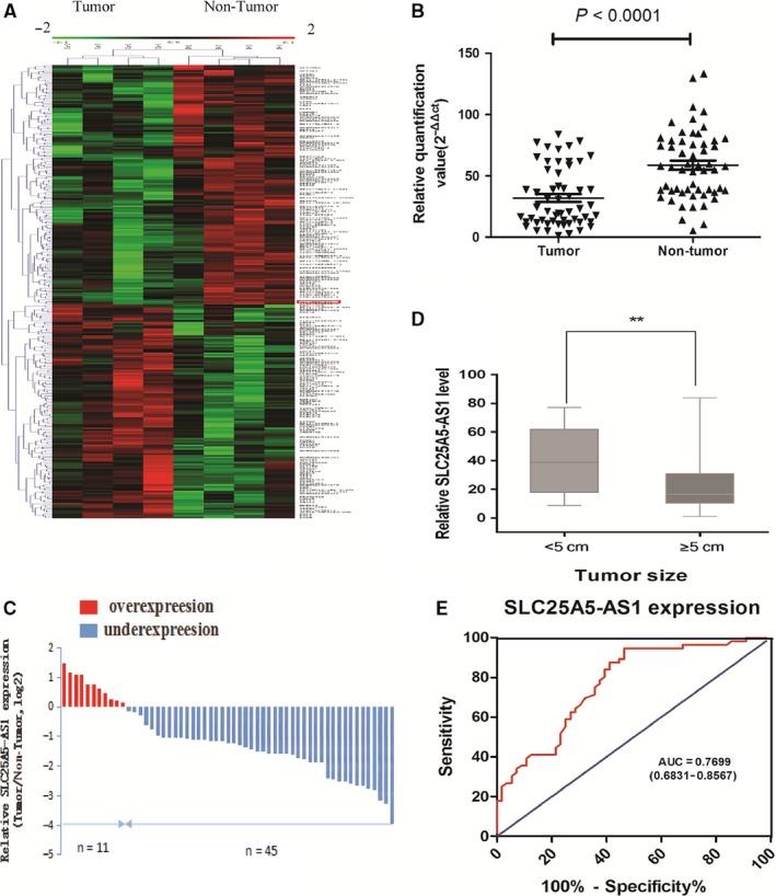 https://cdn.ncbi.nlm.nih.gov/pmc/blobs/679f/6433659/857c730f107c/JCMM-23-2920-g001.jpg