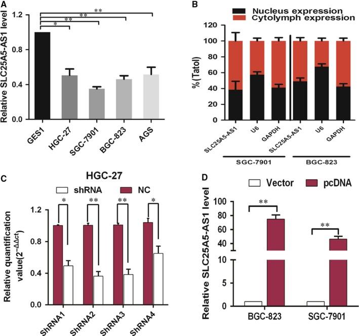 https://cdn.ncbi.nlm.nih.gov/pmc/blobs/679f/6433659/ab817cdcde89/JCMM-23-2920-g002.jpg
