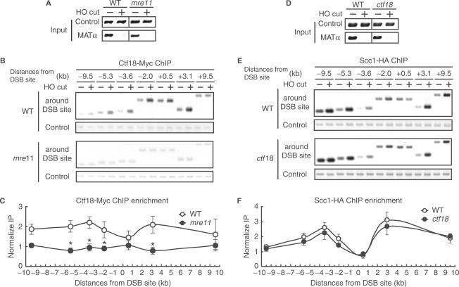 https://cdn.ncbi.nlm.nih.gov/pmc/blobs/67a1/1976461/a12582dd2644/gkm523f3.jpg