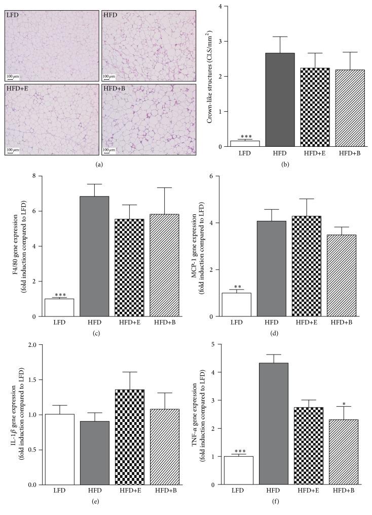 https://cdn.ncbi.nlm.nih.gov/pmc/blobs/67a2/4913062/cbe2e67dbff6/MI2016-2042107.005.jpg
